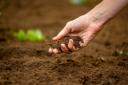 Antimicrobial resistance has been found in Scottish soils