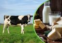 The UK’s dairy industry is set to be boosted by a new programme to increase exports