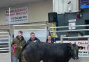 The champion beast at Penrith's coronation sale, with, from left, Jack Wills, vendor, Chris Bell, judge and Jo Edwards, sponsor representative from PFK Rural