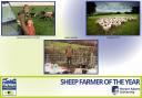 The 2024 Northern Farmer Awards Sheep Farmer of the Year Finalists