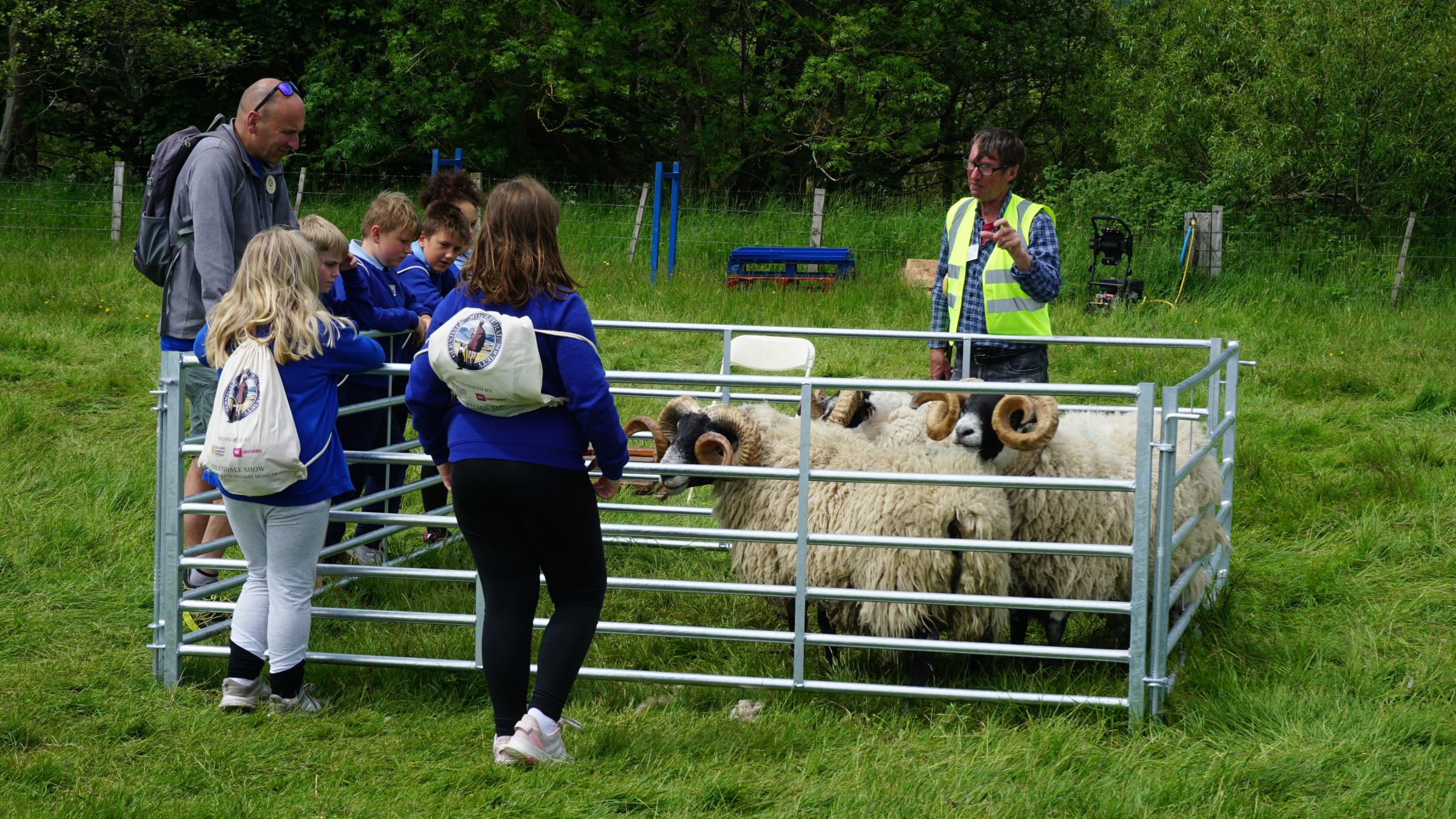 Children learn about sheep at the Childrens Countryside Day
