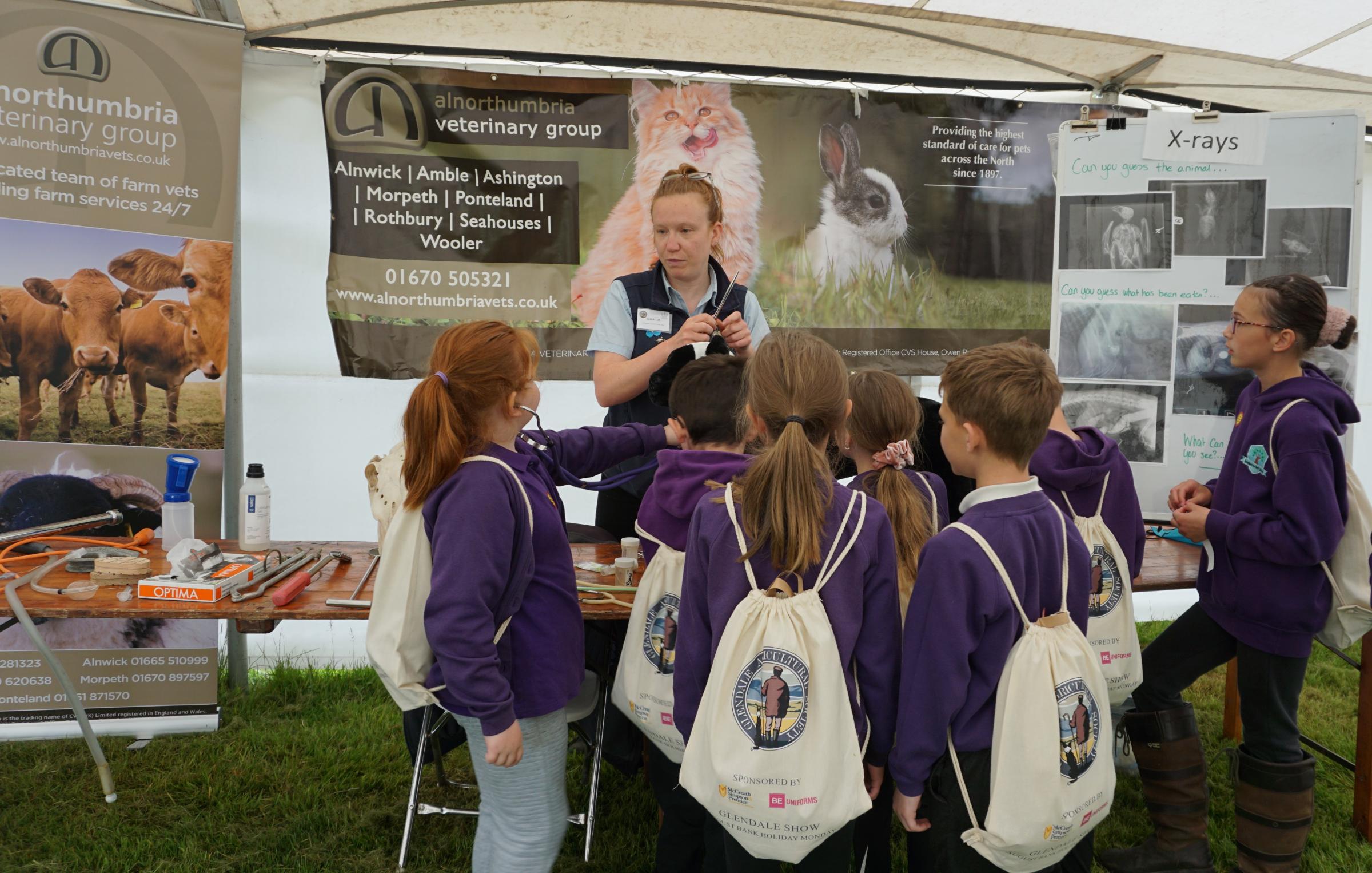 Children find out about where our food comes from at the Childrens Countryside Day