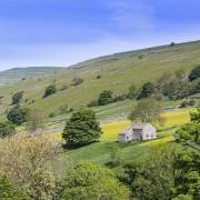 Changes to ELMs have been announced for farmers in the uplands