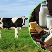 The UK’s dairy industry is set to be boosted by a new programme to increase exports