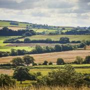 The Yorkshire Wolds. Two English landscapes could be designated as new protected areas under plans being put forward by the Government