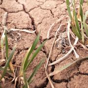 Summers could last longer with increased drought risk, says Met Office