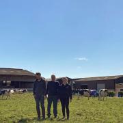 Tom, Roger and Nina Hildreth among the herd with the farm and new extension for Curlew Fields Dairies