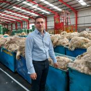 British Wool CEO Andrew Hogley says the impact of high energy prices on the cost of processing wool has been enormous