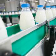 Milk processors confirm farmgate milk prices