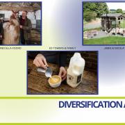 The finalists in the Diversification Award for the 2024 Northern Farmer Awards