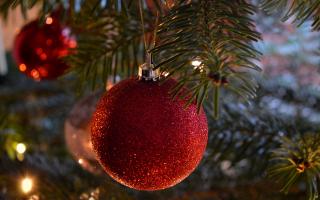 A young farmers group is to offer Christmas tree collections across Ryedale – with the money raised going to ‘Kick Rexi Out.’