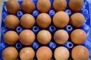 NFU calls for Defra investigation into the egg supply chain