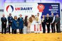 Dairy Expo 2021 champion