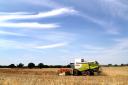 Farming grants of more than £168m ‘will boost food production’