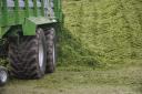 New analysis has compared the benefit of multi-cut silage with a traditional three-cut approach