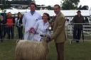 The Wensleydale Champion  owned by Harrison Spinks beds