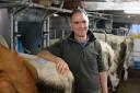 Cheesemaker Andrew Hattan with his cows