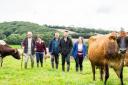 Free support on offer for farmers across Durham Dales through UTASS-hosted RCF events
