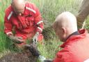 A crew from Malton was called to help release a sheep stuck in a hole.