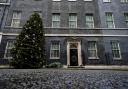 The 2021 Downing Street Christmas tree