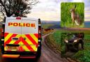Police suspect quad damaged caused to farms around Durham is linking to poaching and hare coursing