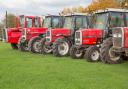 A few of Alan Bancroft’s Massey Fergussons which will go under the hammer