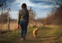 File photo of a woman walking a dog Picture: Pixabay