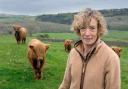 Julia Carr with Highland cattle on her Yorkshire Dales farm