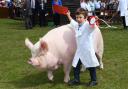 A young pig handler gets his reward. Picture: Great Yorkshire Show
