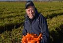 Carrot grower Guy Poskitt sends a stark message from fruit and veg growers