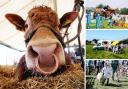 Agricultural shows are a staple of the countryside caldendar Pictures: Northern Echo
