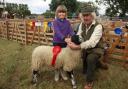 Ryedale Show