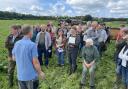 A group of farmers attended a farm walk near Kendal to hear about grass leys