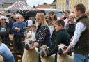 Masham Sheep Fair attracts thousands of people to the  town