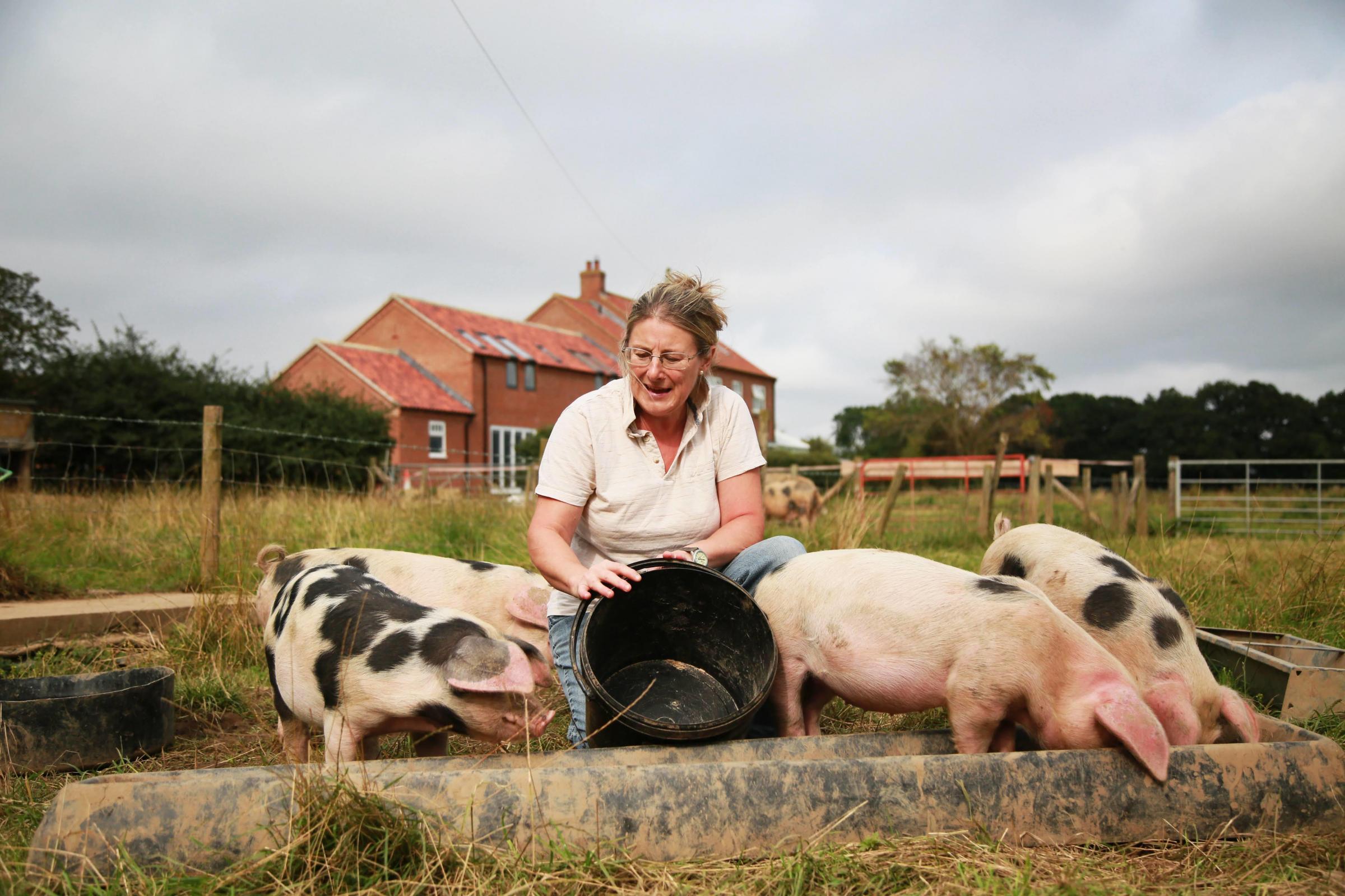 Pig Breeder Mandy Garbutt is a small scale farmer she is worried about the damaging impact that small abattoirs closing in the patch is having on small breeders like herself Picture: SARAH CALDECOTT