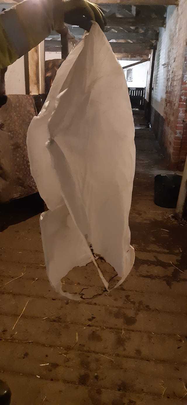 A lit Chinese lantern flew into a stable near Guisborough and could have potentially injured 10 horses and damaged historic buildings
