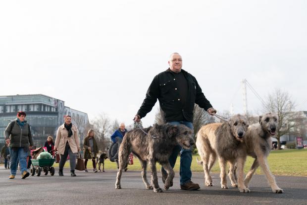 The Northern Farmer: Dogs arriving for day two of the Crufts Dog Show at the Birmingham National Exhibition Center (NEC).  Photo via PA.
