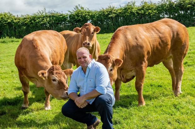 Steven Wilson with his Limousin cattle