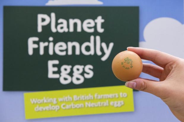 The Northern Farmer: The eggs will be available in a certain number of stores at first (PA)