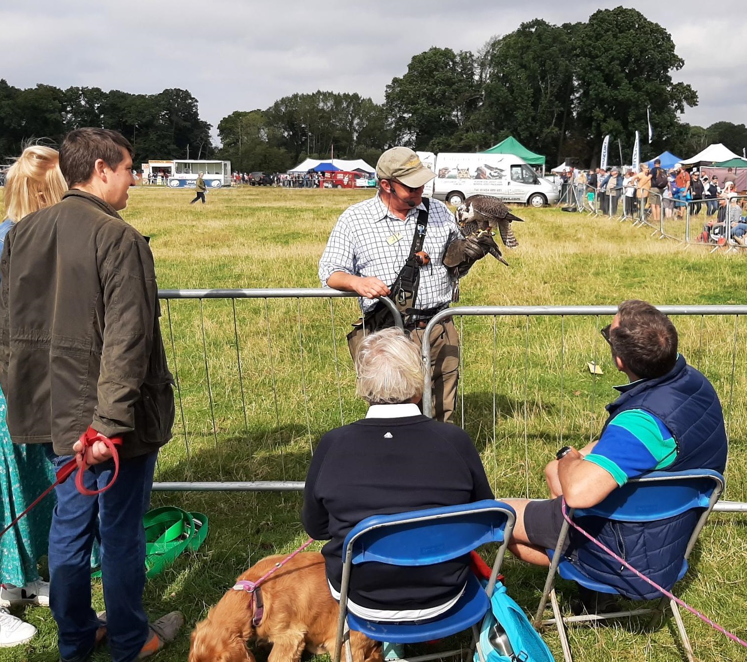 A recovered Boris the bird of prey is shown off to show-goers after his mishap in the main ring