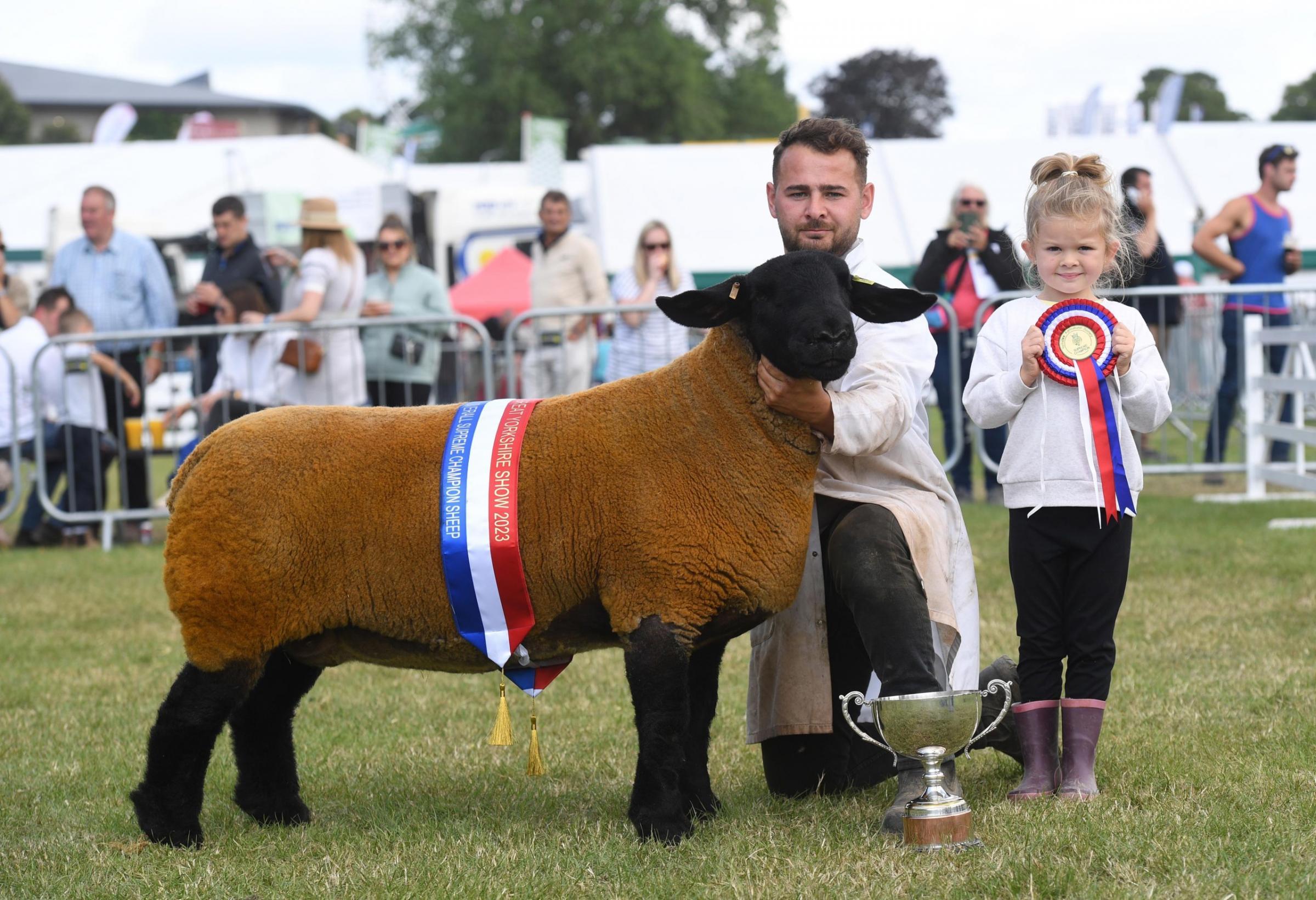 Overall Sheep Supreme Champion. Tom and 6 year old Celia Boden from Mellor Hall Farm, Stockport with their Sportsman’s Flock, Suffolk Sheep