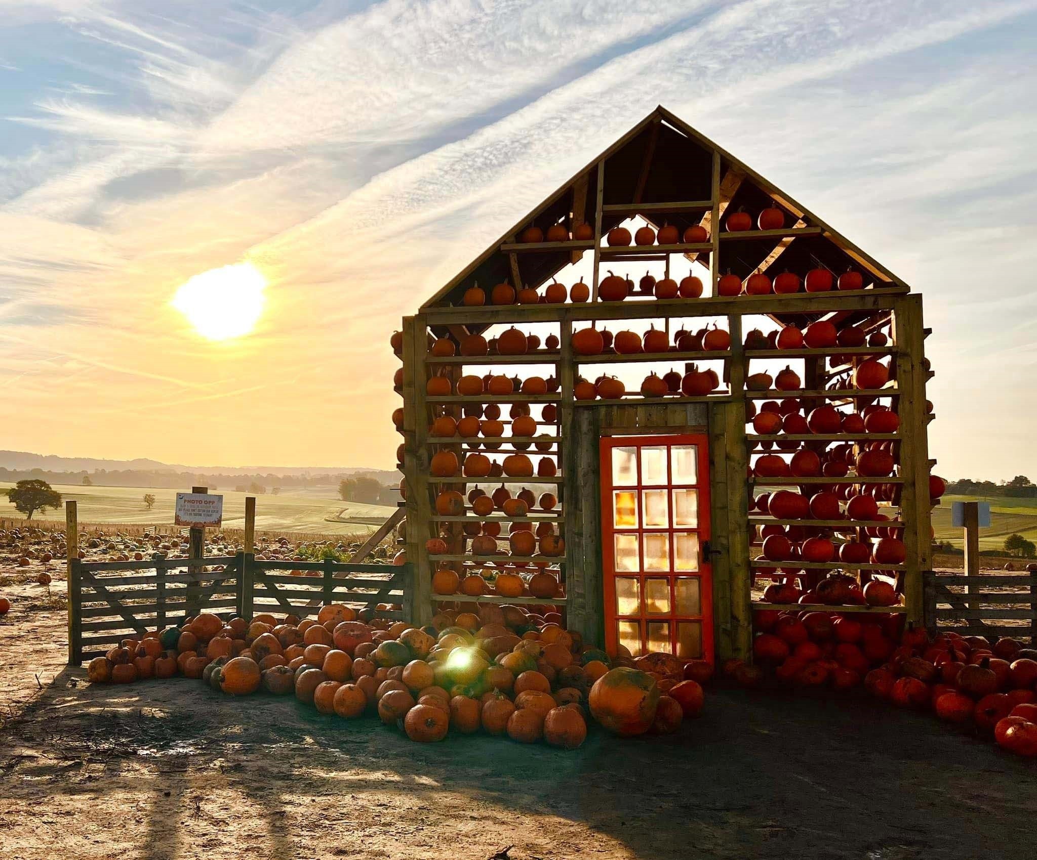 Pumpkin House at Farmer Copleys at Pontefract has been shortlisted for a national retail award