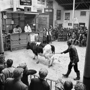 Skipton livestock market in 1986. Picture John Bentley