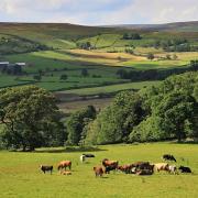 North York Moors National Park workshops to help advise Defra on farm incomes changes