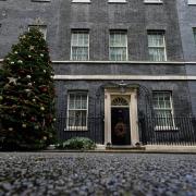The 2021 Downing Street Christmas tree