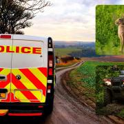 Police suspect quad damaged caused to farms around Durham is linking to poaching and hare coursing