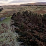 An aerial view of storm damage at Prendwick Farm in Northumberland
