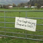 Sign on a farm gate warning dog owners. File photo