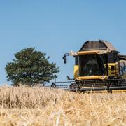 Cereal growers are likely to be hardest hit in 2023 due to increased input costs and falling grain prices