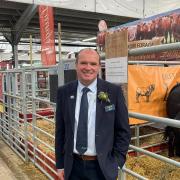Mark Dent, of Darlington Farmers Auction Mart, at the Beef Expo